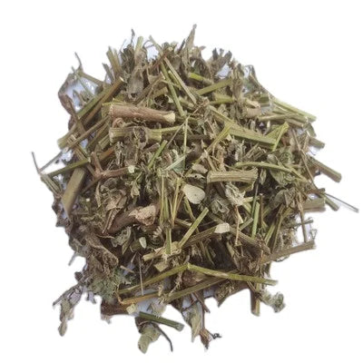 Dao Kou Cao Achyranthes Aspera Wild Herbs Plants Achyranthes Aspera Aboveground Parts for Sale
