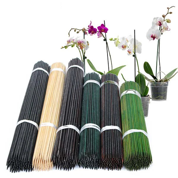 Bamboo Sticks for Flower  Wholesale Bamboo Factory Direct China Bag Custom OEM Packing Outer Color Feature Bamboo Plants