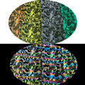 Hi-viz Color Mushroom Design rainbow Iridescent Reflective 4 Way Stretch Knitted Fabric for Fashion Modern Dress Clothes Garment