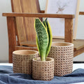 Creative Retro Indoor Potted Flower Pots and Planters Floor Stand Basin Flowers Cement Plant Pot