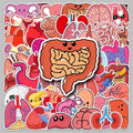 50PCS Factory Wholesale Phone Case Stickers Custom PVC Waterproof Decoration Cartoon Human Organs Stickers