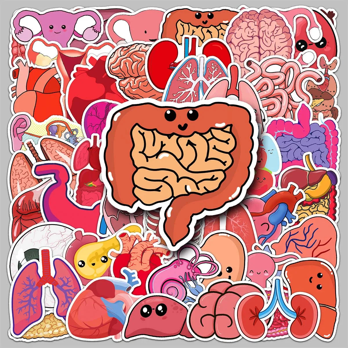 50PCS Factory Wholesale Phone Case Stickers Custom PVC Waterproof Decoration Cartoon Human Organs Stickers