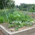 Metal Wire Plant Support Cucumber Climbing Panels Garden Growing Trellis