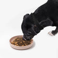 Classic Prevent Tipping Over Slow Feeder Dog Bowl Easy To Clean Pet Food Plates Lick Mat