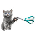 The Essential Guide to Eco-Friendly Cat Nail Scissors with Stainless Steel How to Safely Trim Your Cat's Nails
