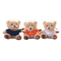 peluches Plush Sweater Teddy Bear Keychain small heart teddy bear wholesalers Stuffed animal toys bears Keychain plushie Toys