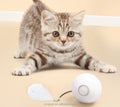 USB Rechargeable Smart Interactive LED Rolling Cat Toy Feather-Powered Pet Toy for Cats and Dogs Small Size Box Packed