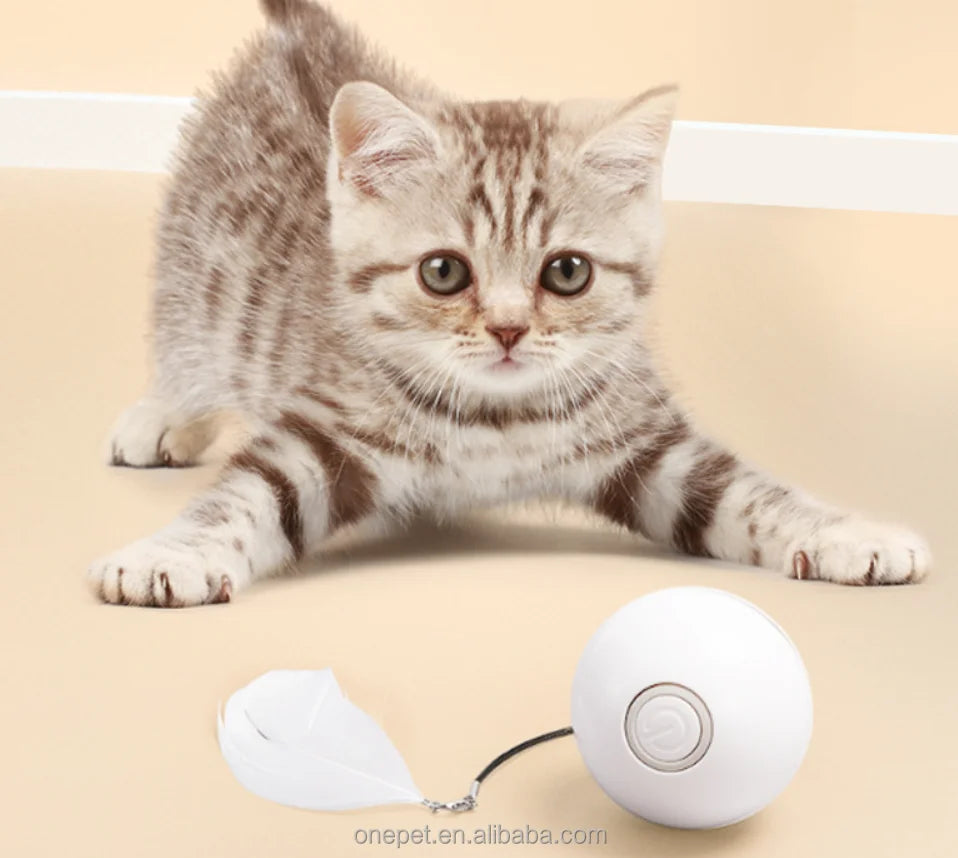 USB Rechargeable Smart Interactive LED Rolling Cat Toy Feather-Powered Pet Toy for Cats and Dogs Small Size Box Packed