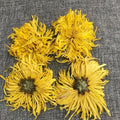 4024 Jin Si Huang Raw Chinese Dried Gold Emperor Chrysanthemum Flower for Health Tea Bag & Box Packaging