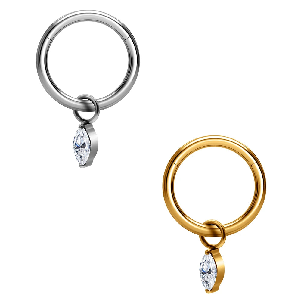 ASTM F136 Titanium Hinged Segment Hoop Clicker Nose Ring Pendant CZ Inlay Tragus Cartilage Earrings Women Body Piercing Jewelry