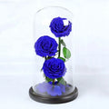 Valentine's Day Girls Birthday Gift Finished Product Glass Cover Mothers Day Gift Set Bouquet Preserved Flower