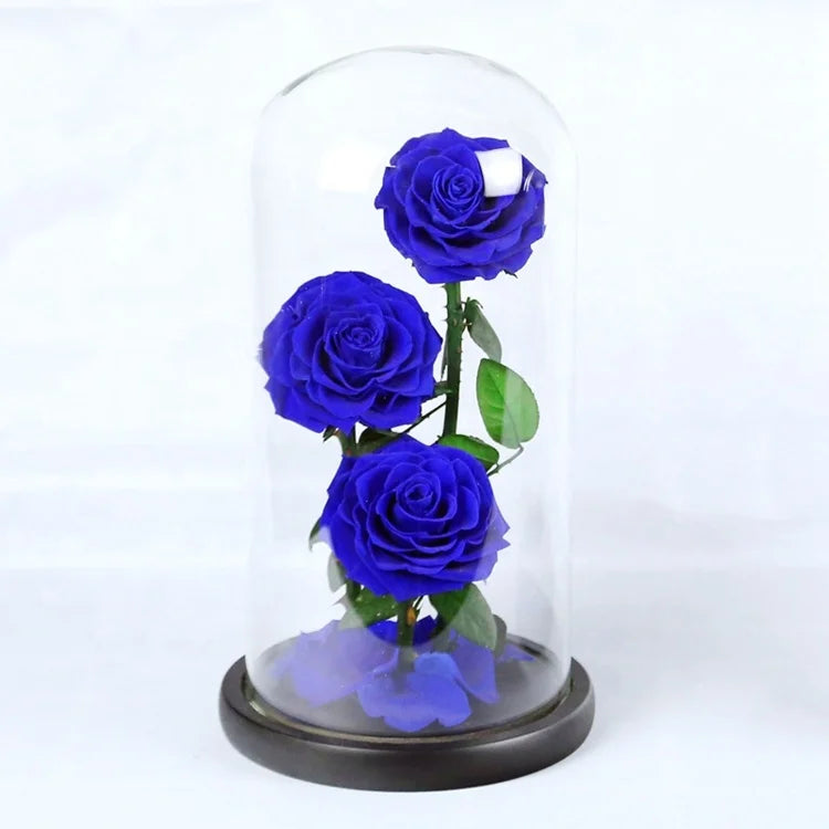 Valentine's Day Girls Birthday Gift Finished Product Glass Cover Mothers Day Gift Set Bouquet Preserved Flower