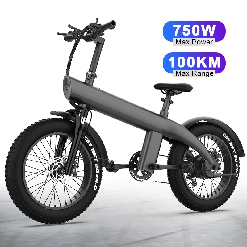 US EU Stock Drop Shipping 800W/1000W Motor 20 Inch Fat Tire Electric Folding Bike Aluminum Alloy Road Bicycles for Adults