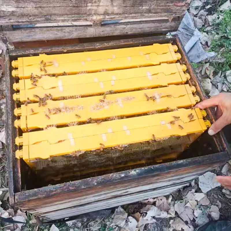 Benefitbee Beekeeping Tools Bee Frames Plastic Comb Honey Frame