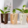 Indoor Wooden Stand Water Planting Propagation Stations Air Glass Planter Bulb Vase Clear Glass Ornaments Plants Terrarium