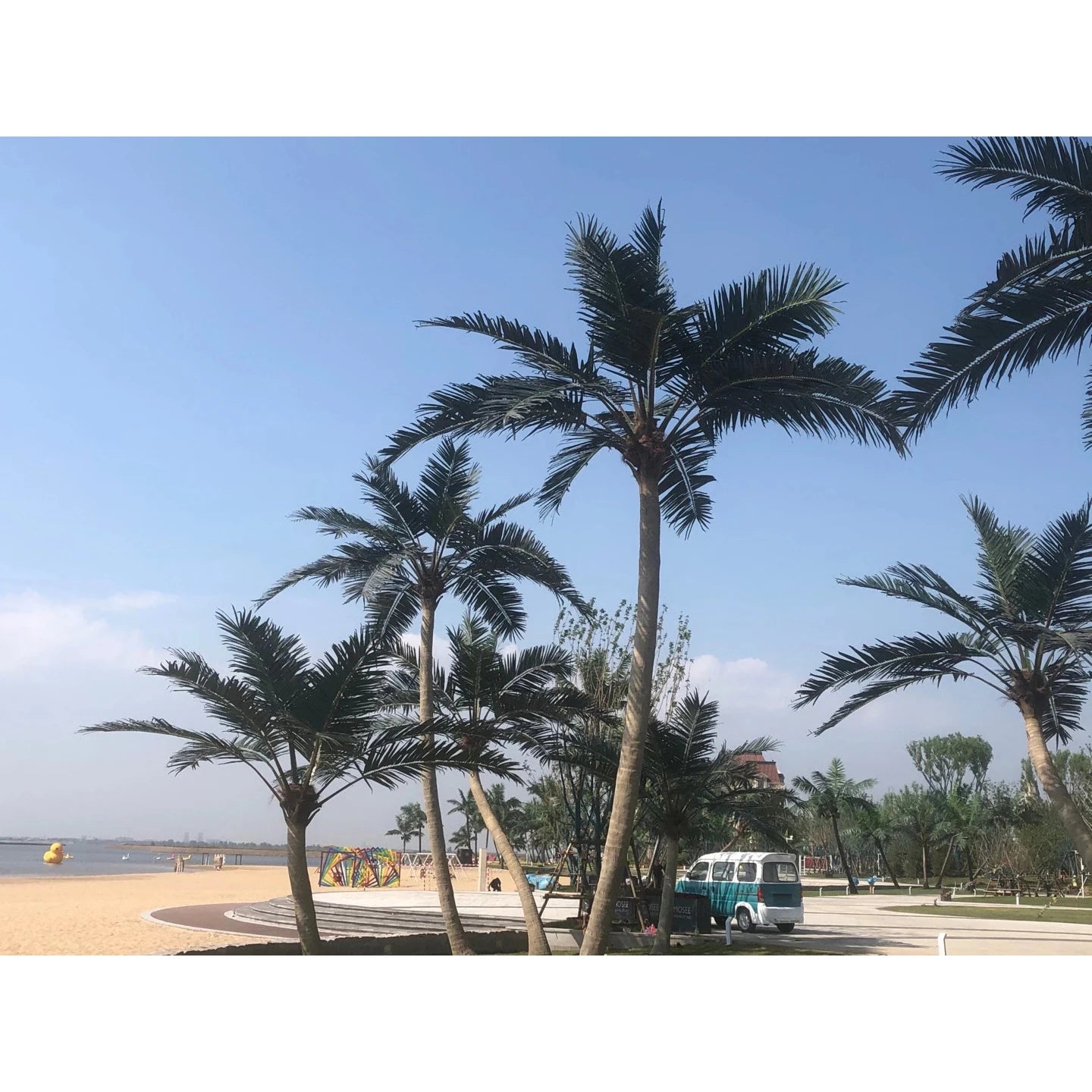 Factory High Quality Customize Large Giant Artificial Fake Coconut Palm Tree Artificial Palm Coconut Tree for Outdoor Beach