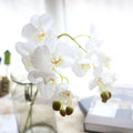 O-X422 Wholesale 5 Heads 3D Printing Artificial Real Touch White Phalaenopsis Orchids Butterfly Flower for Wedding Decoration
