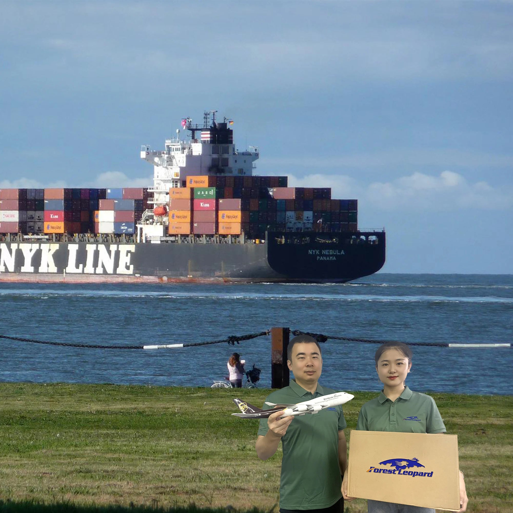 Cheapest Ocean Shipping International Freight Forwarder Sea Freight to USA Sea Fright to USA Canada