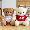 Lunaire Custom Personalized Logo Promotion Stuffed Teddy Bears With T Shirts for Gifts Set and Souvenirs