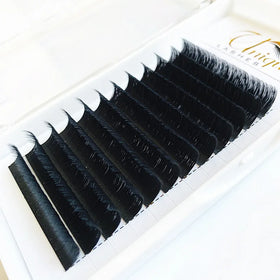 New Products 0.05 0.07 Blooming Easy Fans Lashes One Second Fan Eyelash Extension Professional