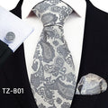 Factory New 2023 Paisley Pattern Men's Wedding Suit Neck Tie and Pocket square Neckties for Men