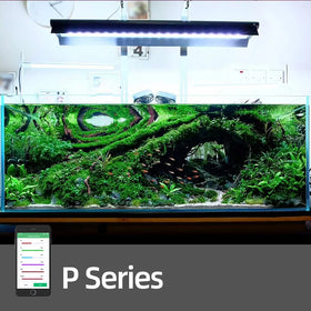 New Arrival P Series APP Control Sunset Sunrise Led Aquarium Light for Freshwater Aquatic Aquarium Aquascape tank Led Lights