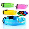 Hot Selling USB Charging Light up Dog Collar LED Pet Dog Collar and Leash Set