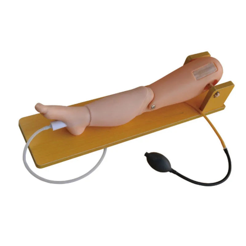 Child Bone Marrow Puncture and Femoral Venipuncture Model