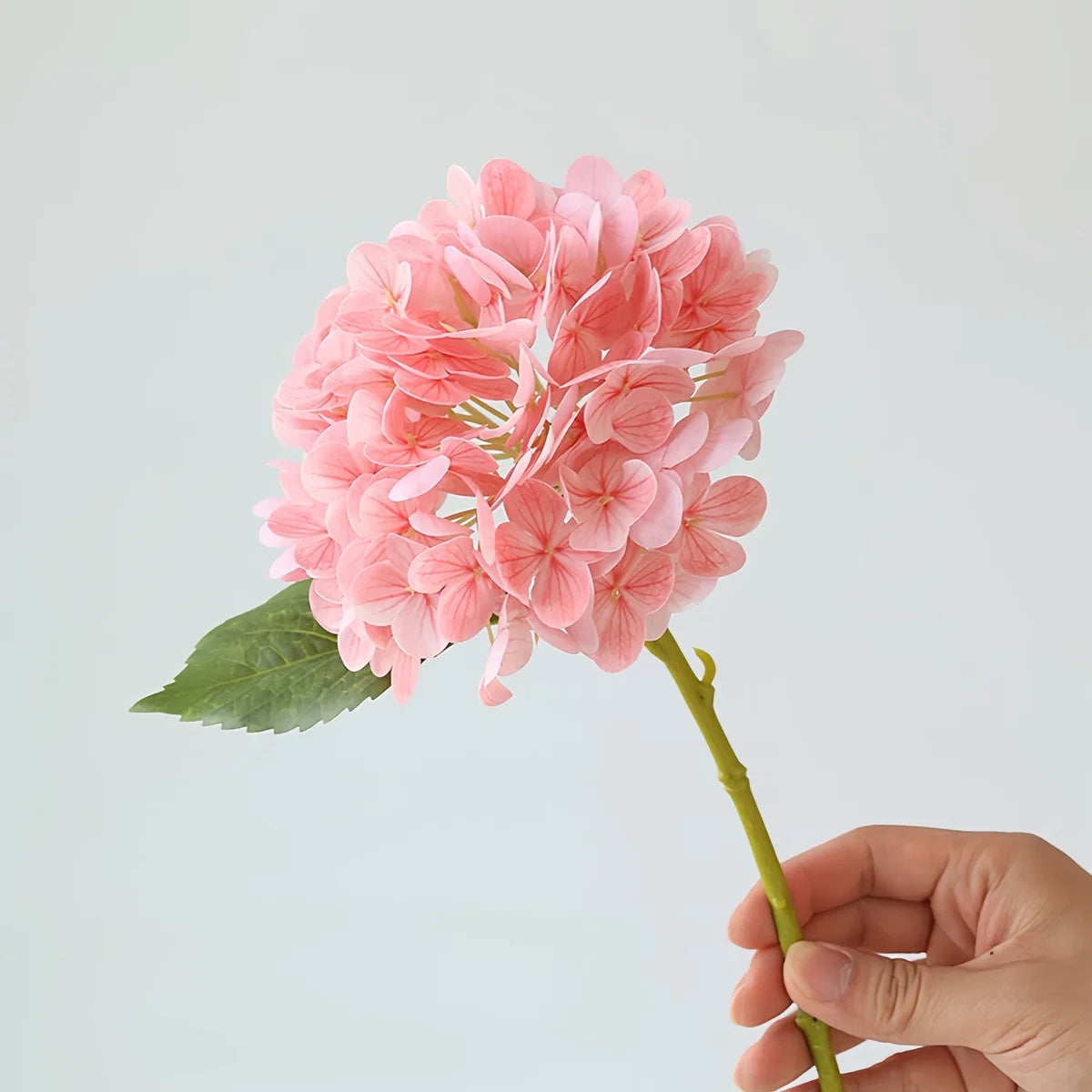 Y-H183 Real Touch Flowers High Quality Artificial Hydrangeas Real Touch Hydrangea Green White Latex Hydrangea Wedding Flower