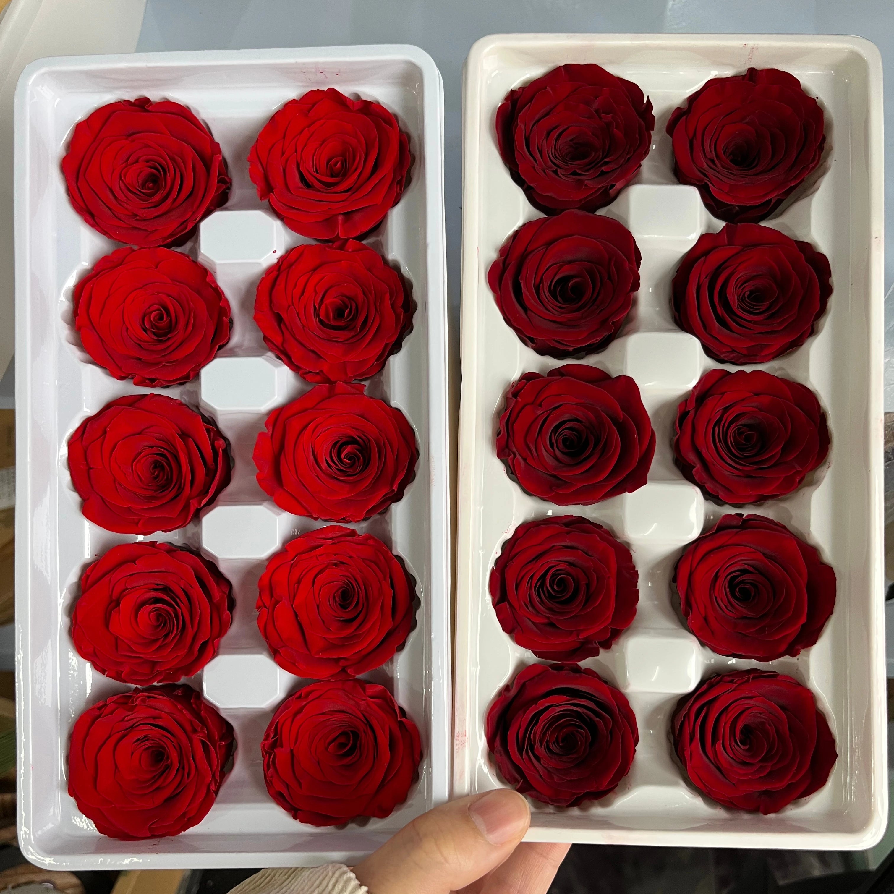 Lovebay Wholesale Preserved Roses Head 10Roses/Box 4cm Diameter Real Roses Preserved Flowers Bud for Wedding Decor