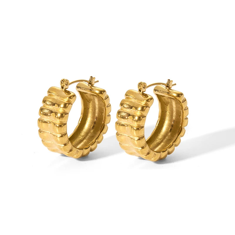Fashionable INS Stainless Steel Geometric Trendy 18K Gold Plated Hoop Earrings for Women
