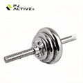 PINJIAN Custom Logo Weight Lifting Plate Cast Iron Chrome Dumbbell Gym Weight Plates