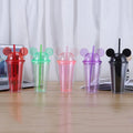 wholesale reusable acrylic plastic double wall 16oz mouse clear tumbler water bottle with lid and straw drinking bottle cup