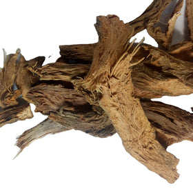Premium Grade Natural China Dried Wild Raw Obscured Homalomena Rhizome Slices for Sale
