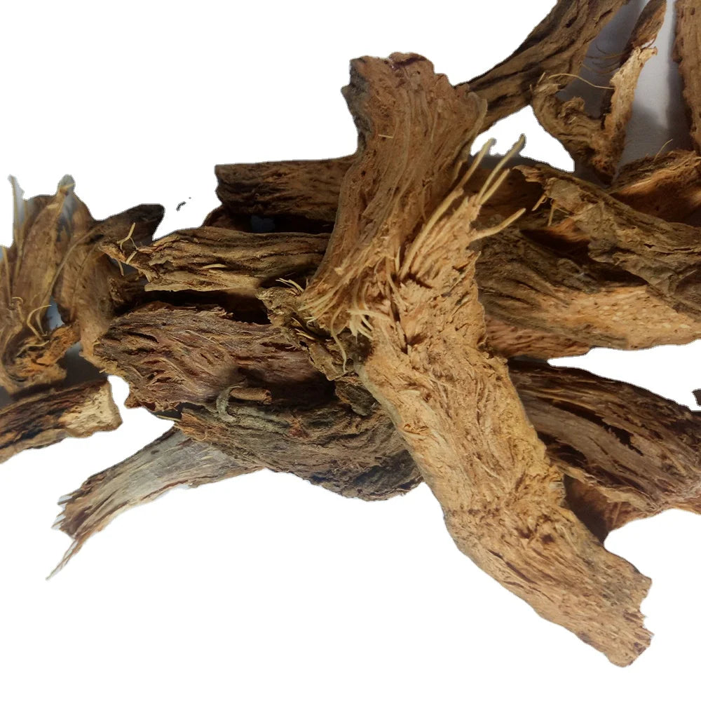 Premium Grade Natural China Dried Wild Raw Obscured Homalomena Rhizome Slices for Sale