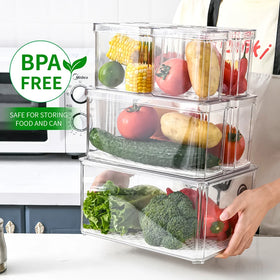 Multifunctional Rectangle Plastic Storage Box for Fruits Vegetables & Food for Refrigerator & Fridge Storage