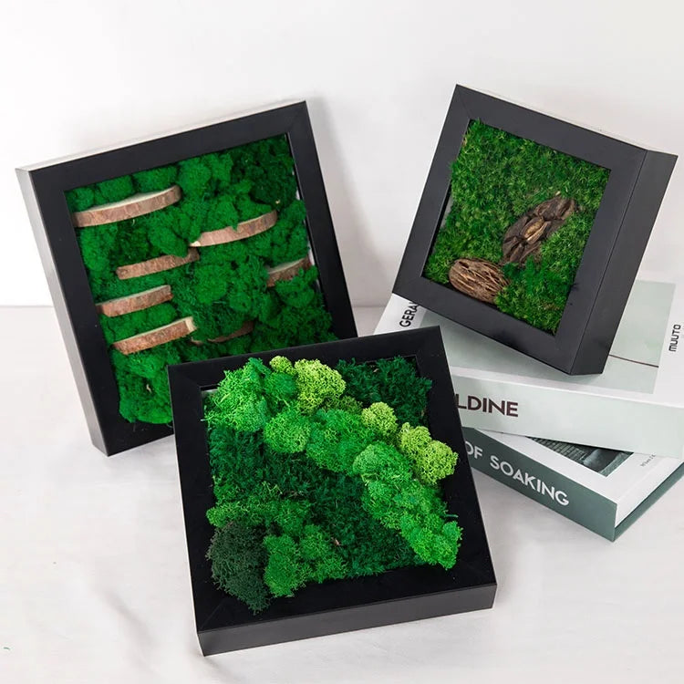 Handmade Decorative Moss Wall Photo Frame with Flower Design-Ins Style Home Decoration