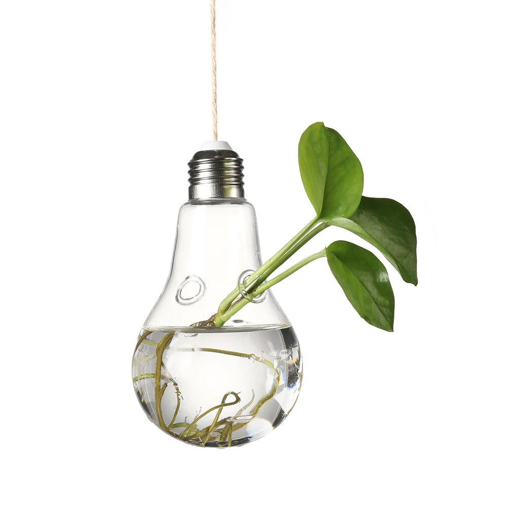 Large Bulb Shape Glass Hanging Vase Art Deco Style Terrarium Hydroponic Pot for Home Wall Decor with Flower Display