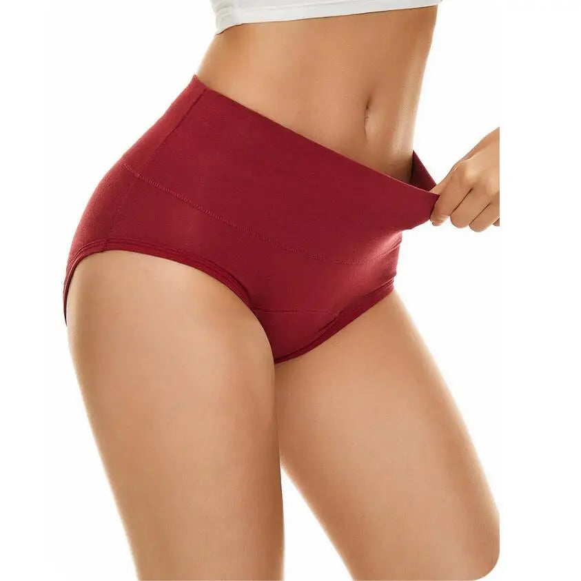 Well Selling Cotton 4 Layer 60ML Absorbent Leakproof Ladies Physiological Female Underwear Menstrual Period Panties