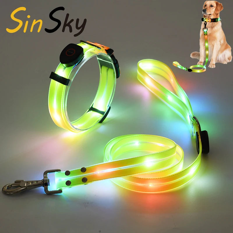 SinSky USB Rechargeable LED Dog Leash Waterproof Reflective Pet Leashes Lighted PVC Webbing Dog Leash for Dogs Training Walking MegaBDM