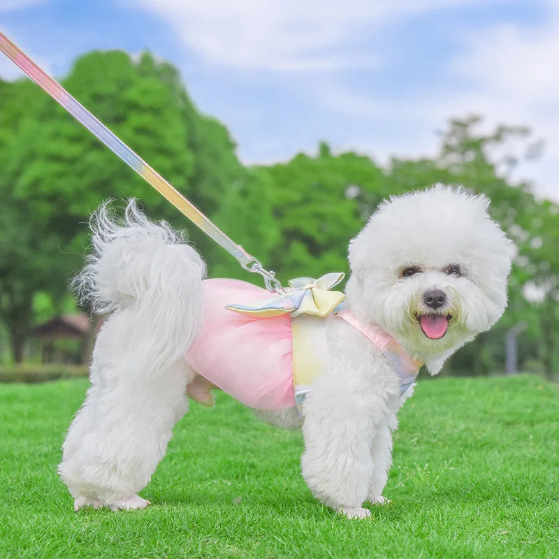 Outdoor Gradual Change Color Princess Style Gauze Harness for Small Medium Dogs
