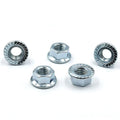 Factory Supply DIN 6923 M3 M4 M5 M6 M8 Locking Nut Hex Flange Nut with Serrated