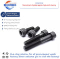 12.9 Grade Hexagon Socket Bolts High Strength M10 DIN912 Galvanized Bolts Manufacturer SS Bolts Stainless Steel Bolt