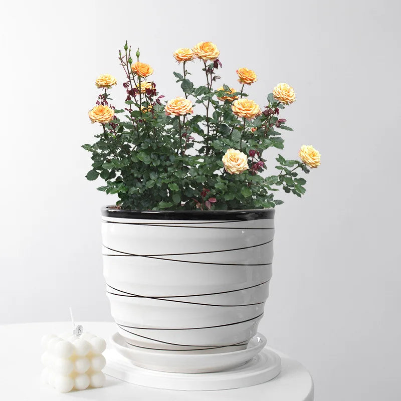 New Design Orchid Nordic Style Flower Pot Ceramic Plant Pot Set with Drainage Hole for Home and Garden Nursery