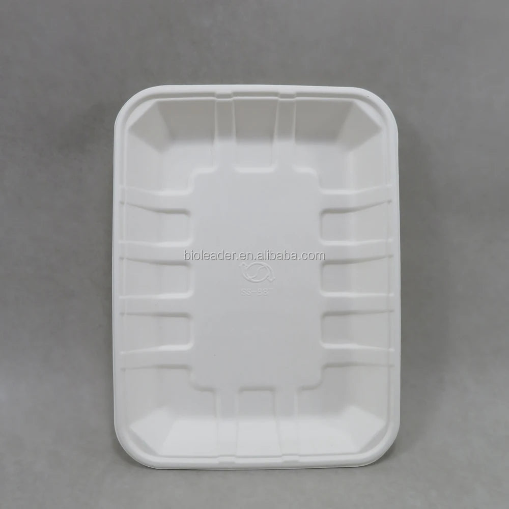 Biodegradable Sugarcane Bagasse Pulp Tray Unbleached Plate Dish for Party Eco-Friendly Molded Tray