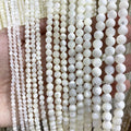 Natural Seashells Horseshoe Snails Round Freshwater Pearl Loose Beads for Jewelry Making