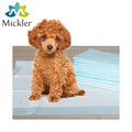Pet Excretion Puppy Oversized Disposable Dog Training Pad Strong Absorbent Pet Mats Pads