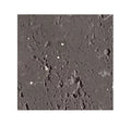 Travertine Durable and Sustainable Modified Clay Flexible Stone Tiles for Walls and Ceilings - Black Diamond