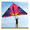 Beautiful Big Kite Large Custom Kite OEM/ODM Custom Triangle Advertising Commercial Kite