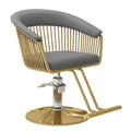 Styling Chair Beauty Salon Chair Stainless Steel for Hair Stylist